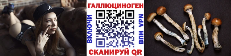 Псилоцибиновые грибы мухоморы Ахтырский